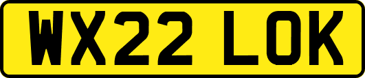 WX22LOK