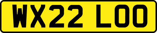 WX22LOO