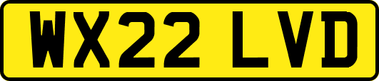 WX22LVD