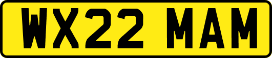 WX22MAM