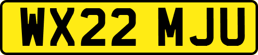 WX22MJU