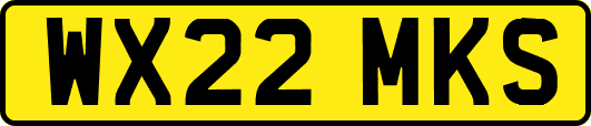WX22MKS