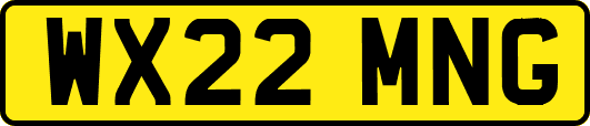 WX22MNG