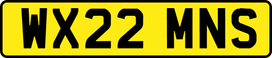 WX22MNS