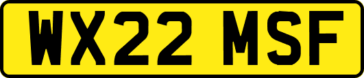 WX22MSF