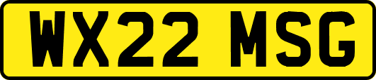 WX22MSG