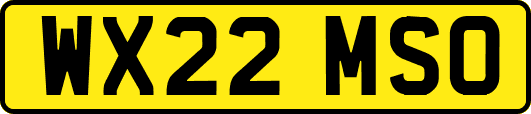 WX22MSO
