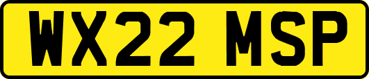 WX22MSP