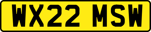 WX22MSW