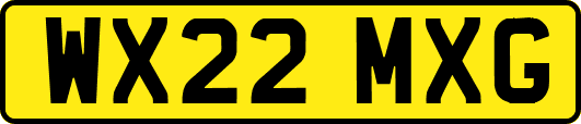 WX22MXG