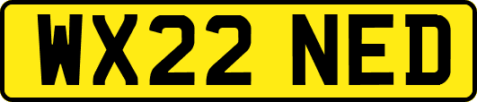WX22NED