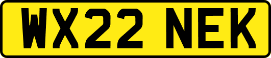 WX22NEK