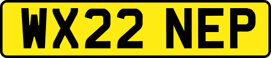 WX22NEP