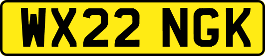 WX22NGK