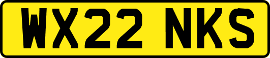 WX22NKS