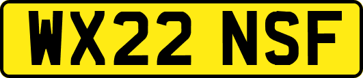WX22NSF