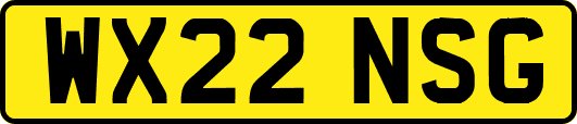 WX22NSG