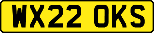 WX22OKS
