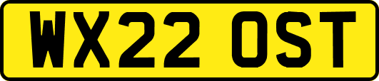 WX22OST