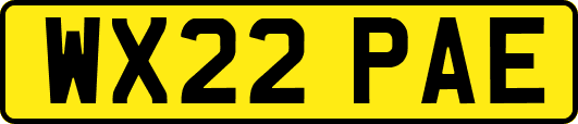 WX22PAE
