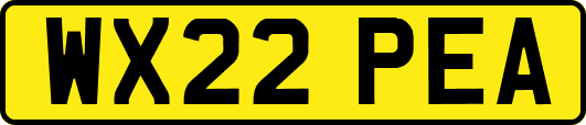 WX22PEA