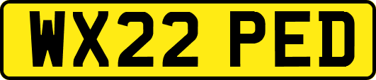 WX22PED