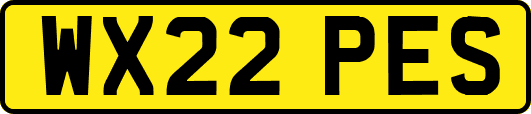 WX22PES