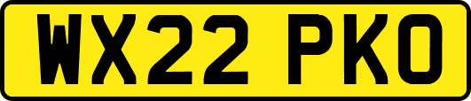WX22PKO
