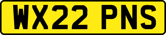 WX22PNS