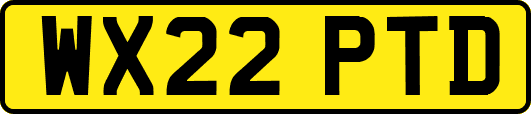 WX22PTD