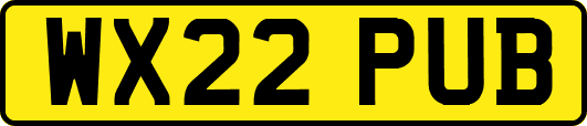 WX22PUB