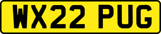 WX22PUG