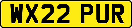WX22PUR