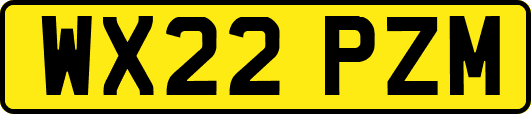 WX22PZM