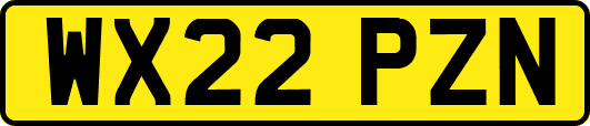 WX22PZN