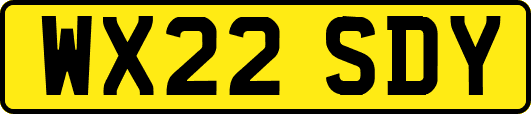 WX22SDY