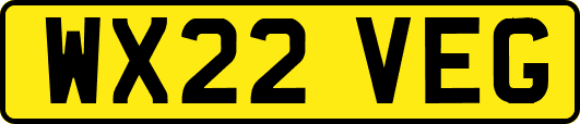 WX22VEG