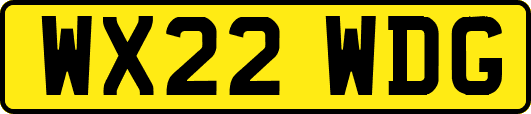 WX22WDG
