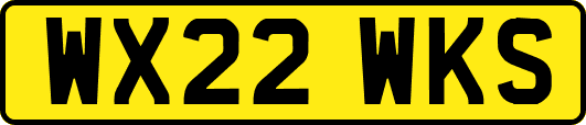 WX22WKS