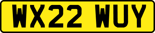 WX22WUY