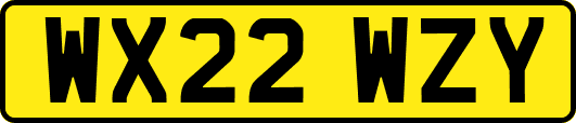 WX22WZY