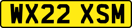 WX22XSM