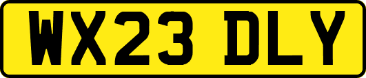 WX23DLY