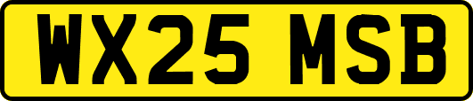WX25MSB