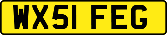 WX51FEG