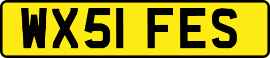 WX51FES