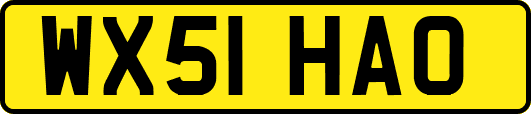 WX51HAO