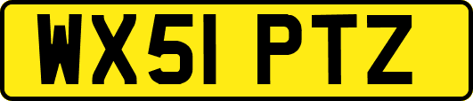 WX51PTZ