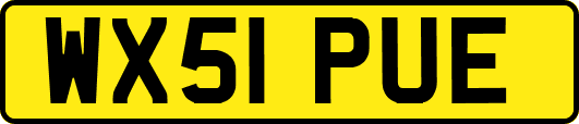 WX51PUE