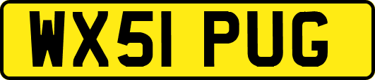 WX51PUG